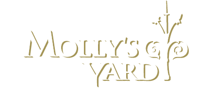 Molly's Yard, Belfast. Far From the Madding Crowd